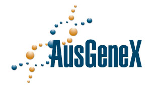 AusGeneX - Foetal bovine serum, newborn calf serum, purified proteins, bovine serum albumin, antibodies and other bovine and non bovine serum products.